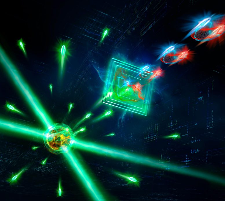 A Single Atom Is Excited by Laser Light and Scatters One Photon After Another