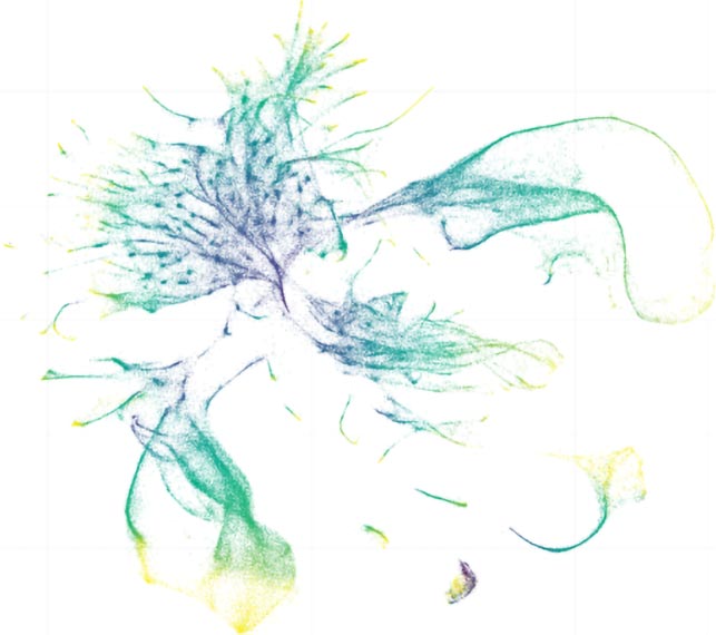 Single Cell RNA Sequencing Data From Caenorhabditis briggsae