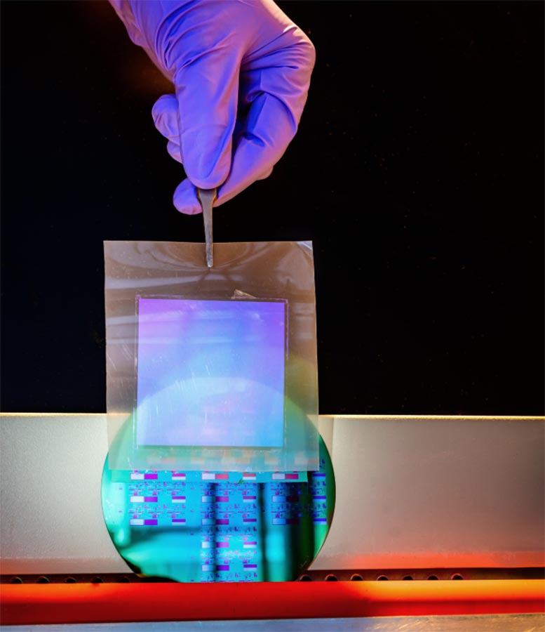 Single Crystalline Silicon Nanomembrane