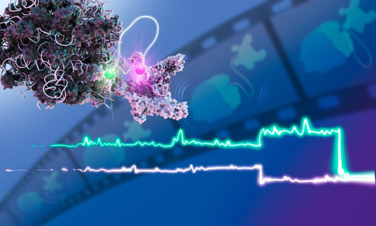 First Lab Molecular World’s First “Molecular Movie”: Witness DNA Becoming Life’s Blueprint ...
