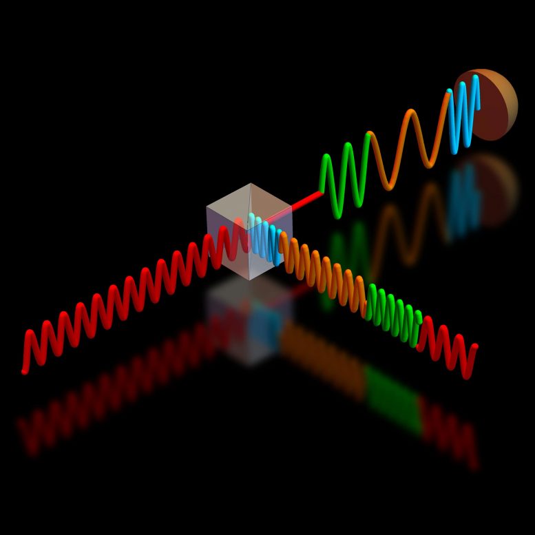 Single-Photon Detection Used for Feedback