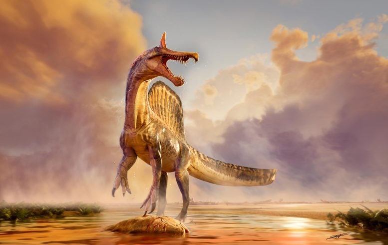 Single Spinosaurus Over Coelacanth on Beach