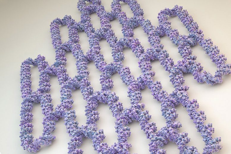 Single-Stranded DNA and RNA Origami
