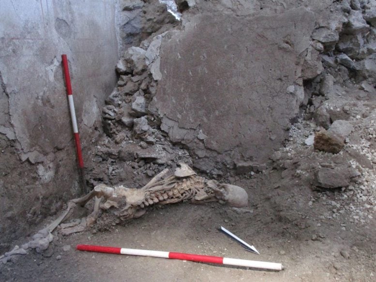 Skeleton of 'Individual 1' in Pompeii Excavation