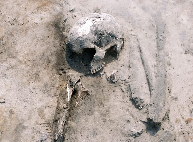 Skeleton of a Bronze Age Woman Discovered at Karczyn Witowy
