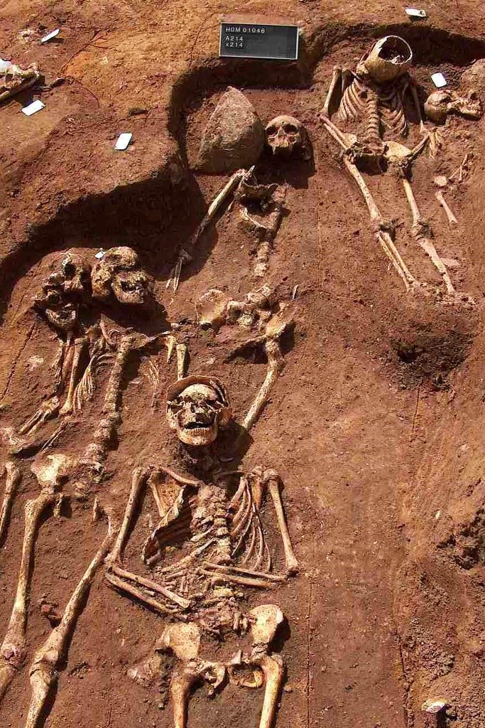 Skeletons Found During an Excavation at a Cemetery in Sejet