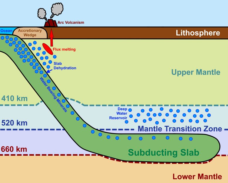 Sketch of Subducting Slab and Transport of Water Bearing Minerals to the Mantle Transition Zone