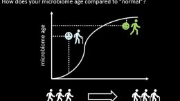 Skin Microbiome on Aging Graphic