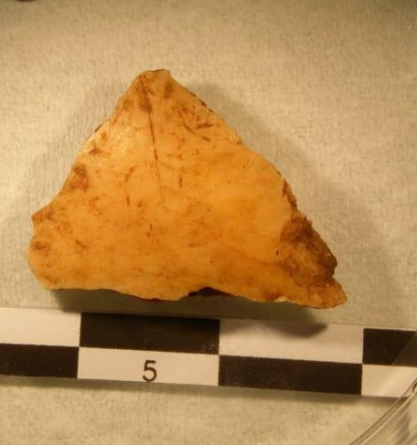 Skull Fragment Found at Buran Kaya III