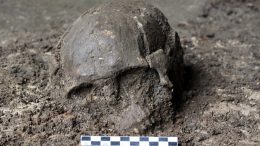Skull of Qihe 2