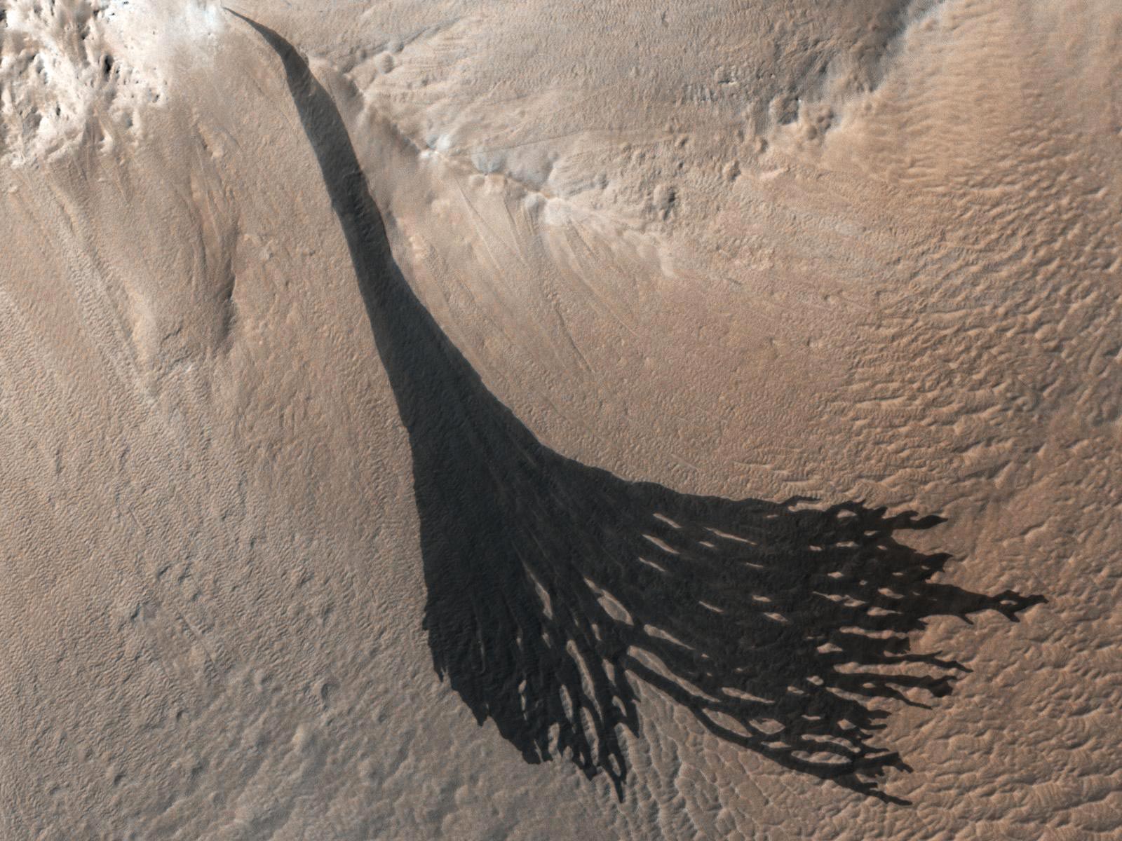 Cliff lines of dust avalanches on Mars