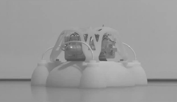 Slow-Motion View of the Harvard 3D Printed Soft Robot