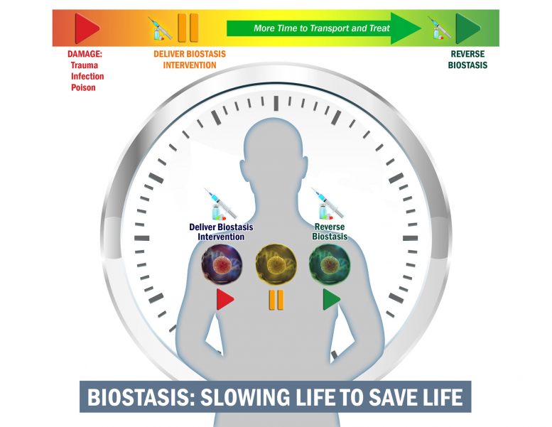 Slowing Biological Time to Extend the Golden Hour for Lifesaving Treatment