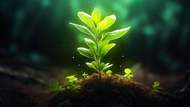 New Research Reveals the Secret of How Seed Plants Conquered Earth