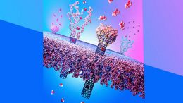 Smart Protection Responsive Nanotube Membranes