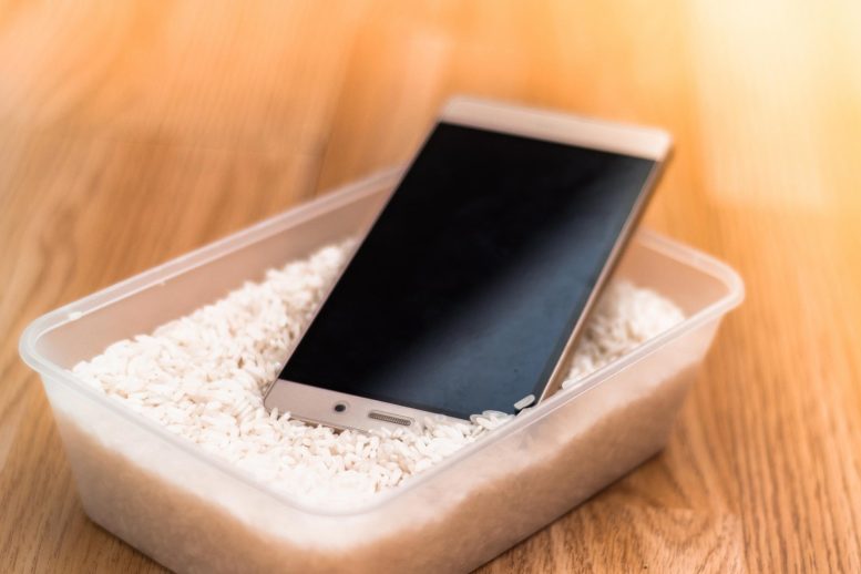 Smartphone Rice