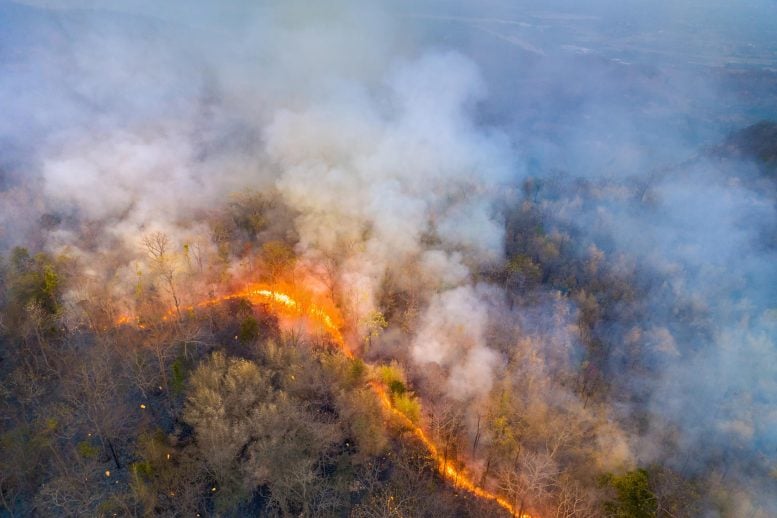 Smoke Flames Wildfire Forest Hill