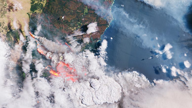 Smoke and Flames in Australia