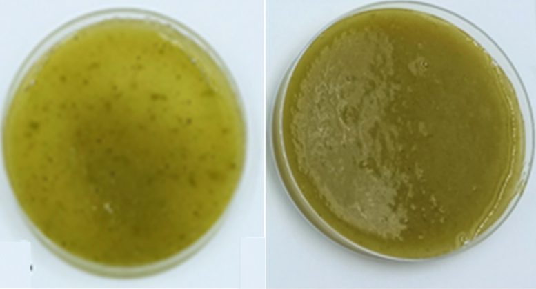 Smoothies Pasteurized With Pressure or Heat