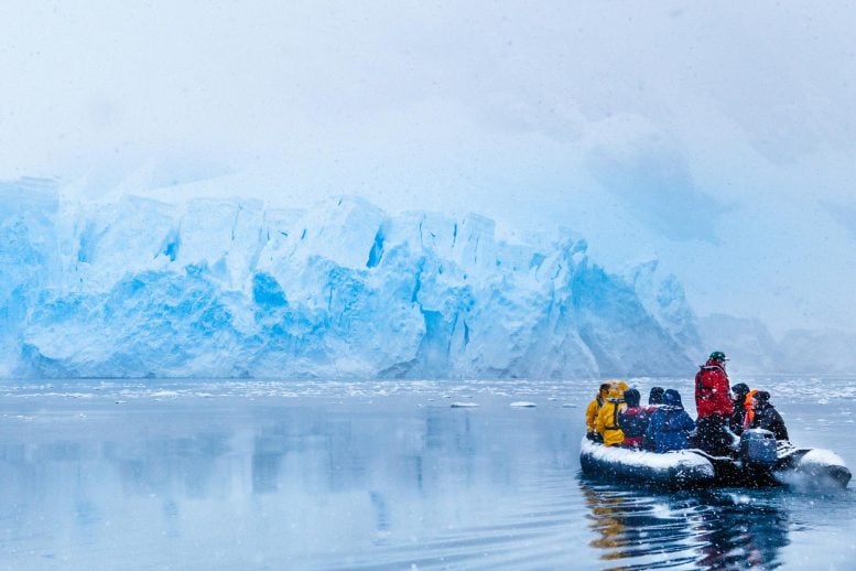 Snowfall Frozen Tourists Antarctica