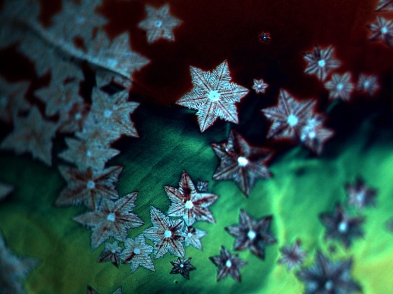 Snowflakes Etched in Graphene