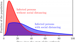 Social Distancing Simulation