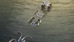 Soft Robots That Can Seamlessly Shift From Walking to Swimming