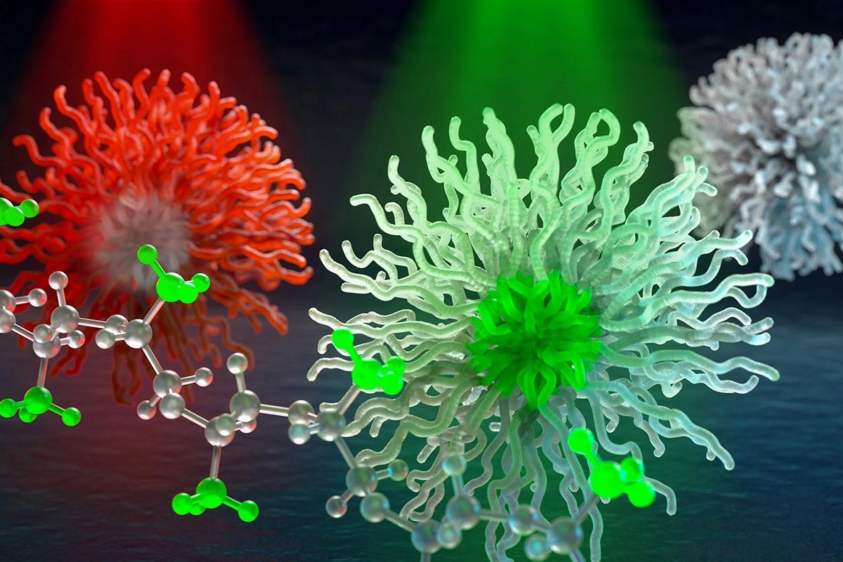 Soft X-rays Allow Researcher to Investigate Nanocarrier Structures