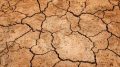 Soil Displaying Cracks in Drought