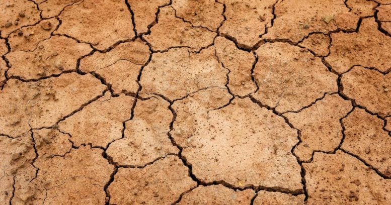 Soil Displaying Cracks in Drought