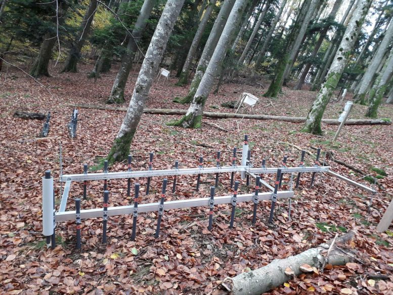 Soil Gas Monitoring Collectors in Forest
