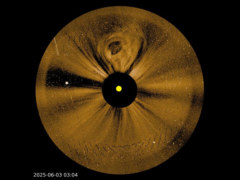 Solar Activity PUNCH Narrow Field Imager