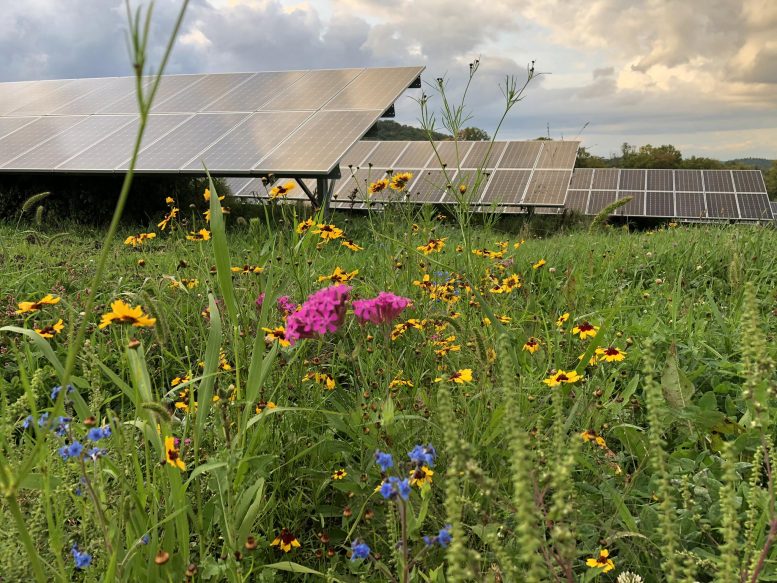 Solar Farm With Pollinator Habitat