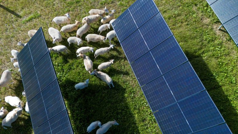 Solar Farm in Lansing, New York