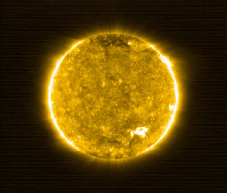Solar Orbiter's First View of the Sun