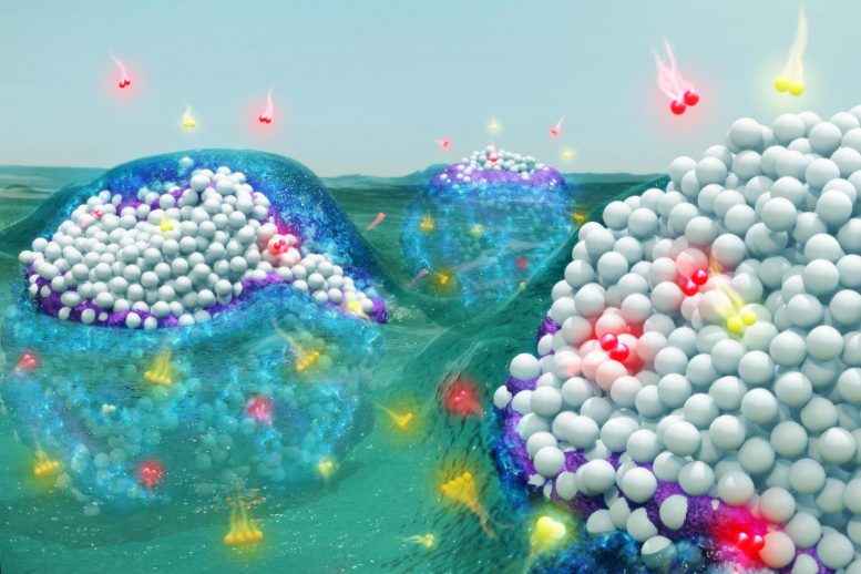 Solvents and Nanoparticles Form Complexes