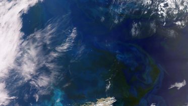 Oceanic Masterpiece: Satellite Captures Vast Algae Bloom the Size of Germany in the South Atlantic