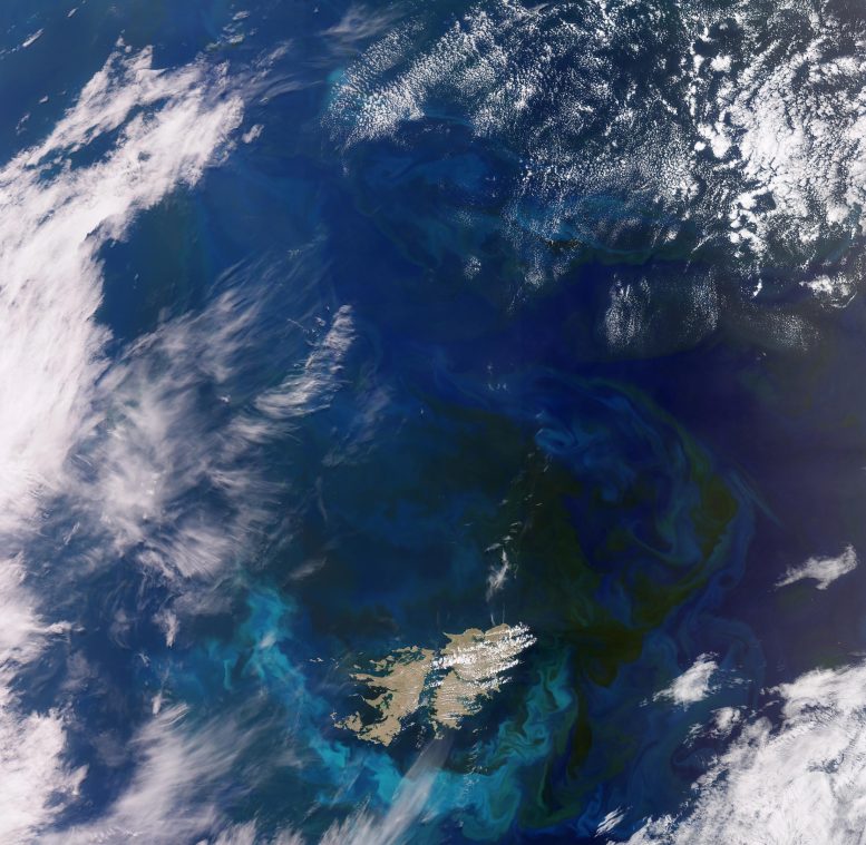 South Atlantic Bloom From Space