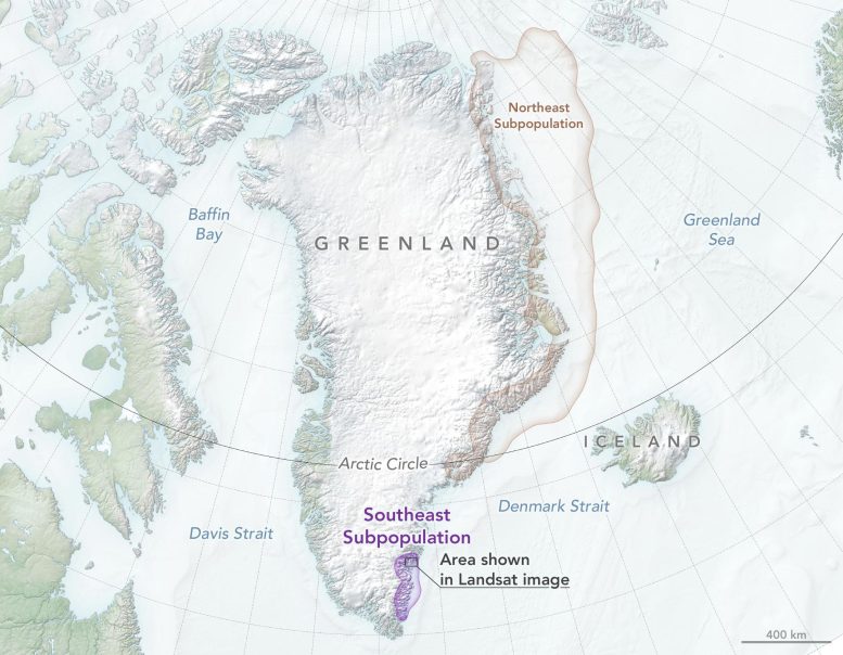Southeast Greenland Polar Bear Habitat Map