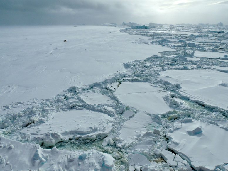 Southern Ocean Sea Ice