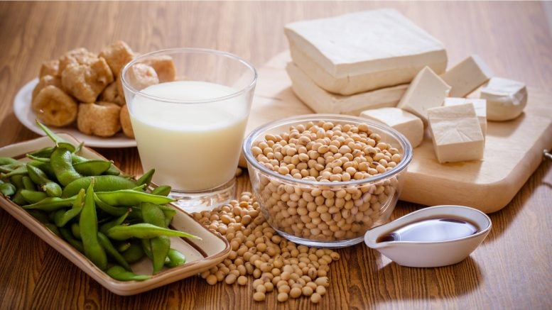 Soy Foods