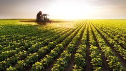 Soybean Field Tractor Spraying Pesticides Farm