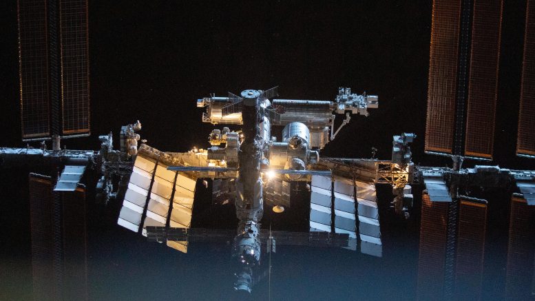 Avanzando en la biología espacial y las habilidades de los dragones mientras la ISS celebra 25 años en órbita