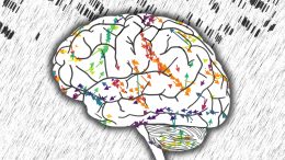 The Space-Time Fabric of Brain Networks