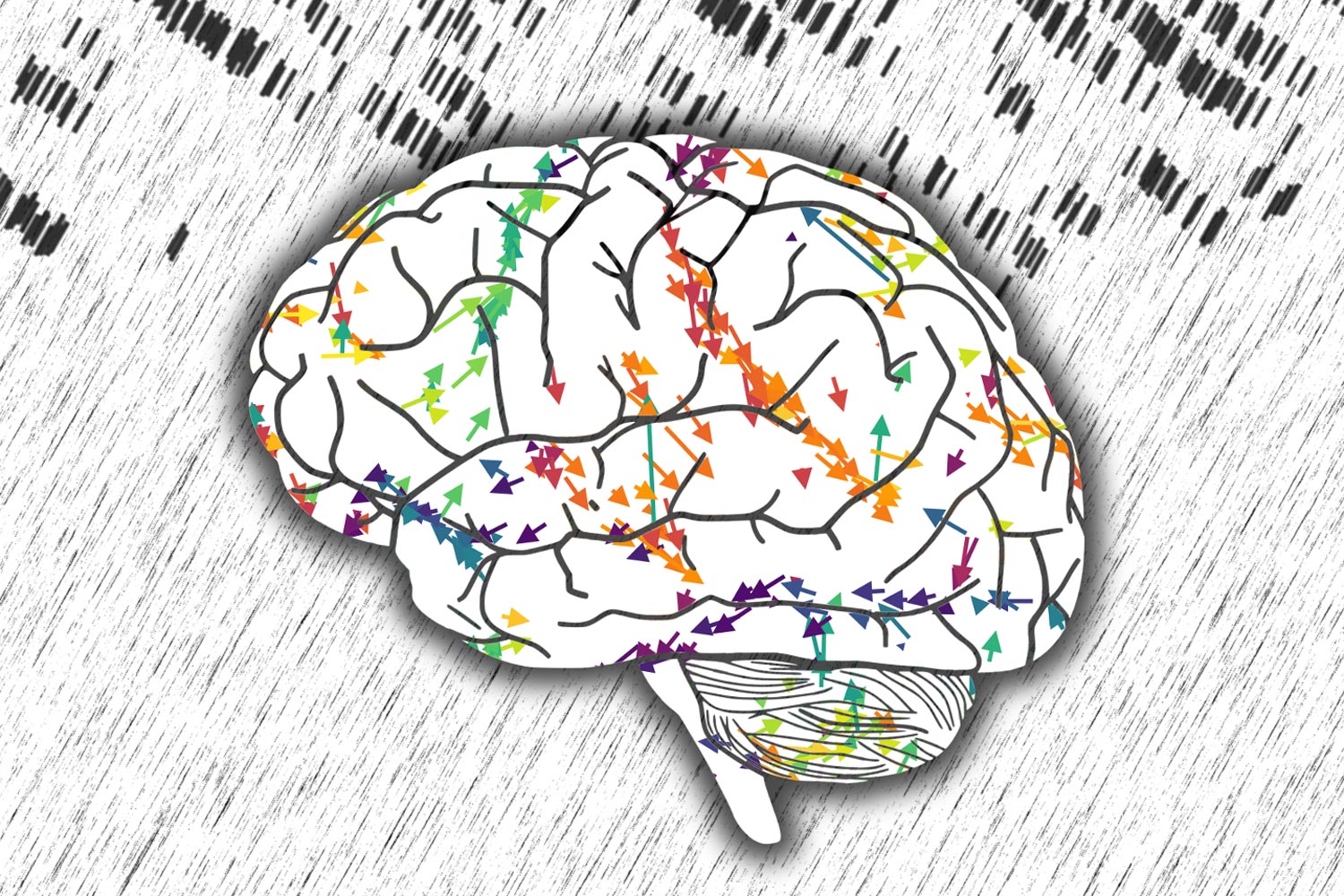 The Space-Time Fabric of Brain Networks – Neuroscientists Decode Neuronal  Activity