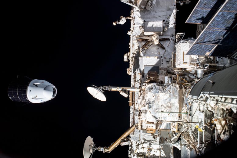 SpaceX Cargo Dragon Resupply Ship Departs the Space Station