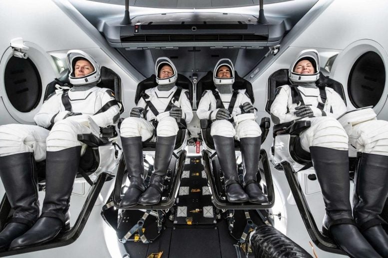 SpaceX Crew 3 Astronaut Portrait