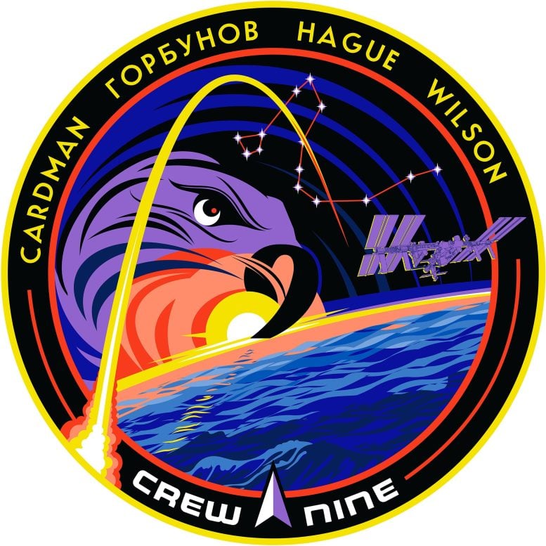 SpaceX Crew 9 Patch