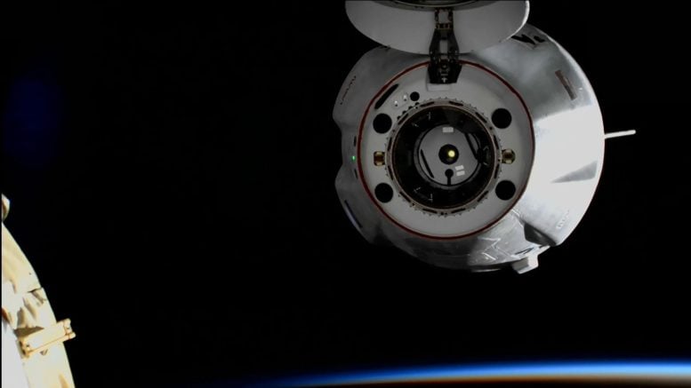 SpaceX Dragon Cargo Craft Backs Away From Space Station