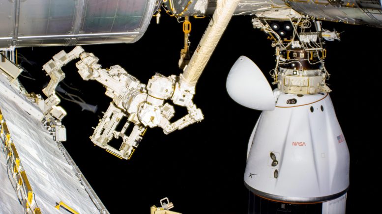 SpaceX Dragon Cargo Craft Is Docked to Space Station